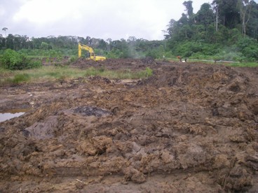 Resultado de imagen para Remediación de suelos